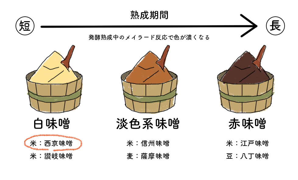 コラム 西京漬け をひも解く Vol 1 京都の白味噌を使った伝統料理 Haccomachi 発酵に出会う 発酵を楽しむ